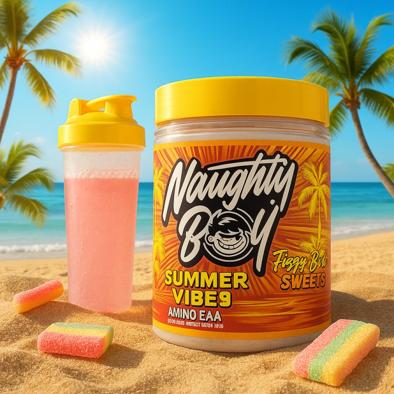 Naughty Boy Summer Vibes