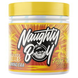 Naughty Boy Summer Vibes