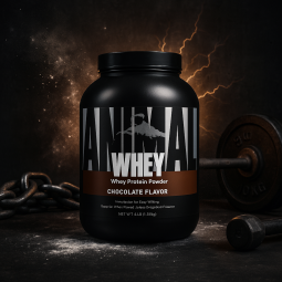 Universal Nutrition Animal Whey – Protéine isolate et concentré pour croissance musculaire et récupération I FITQUEEN